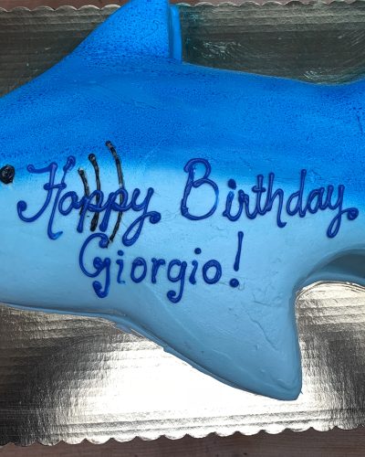 Shark Cake