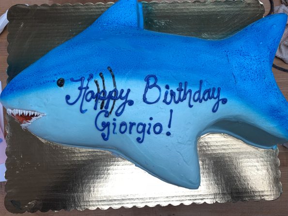 Shark Cake