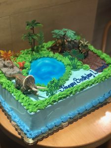 Dinosaur Cake