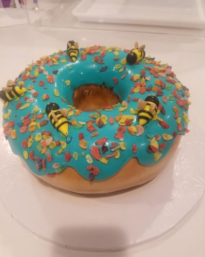 Donut Cake