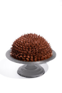 Gluten-Free-Porcupine-Cake