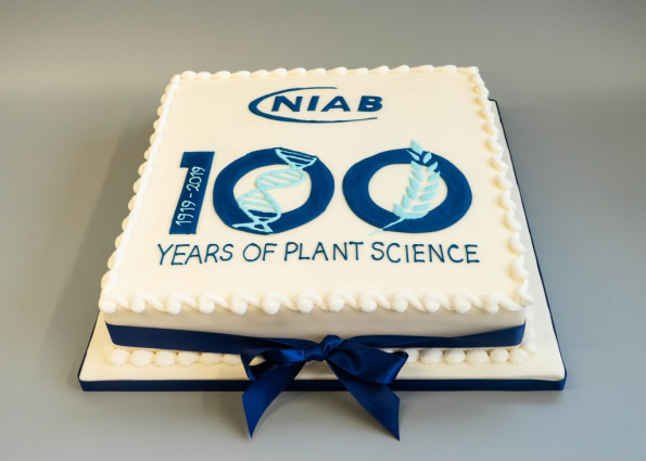 Corporate Edible Image Cakes & Branded Events